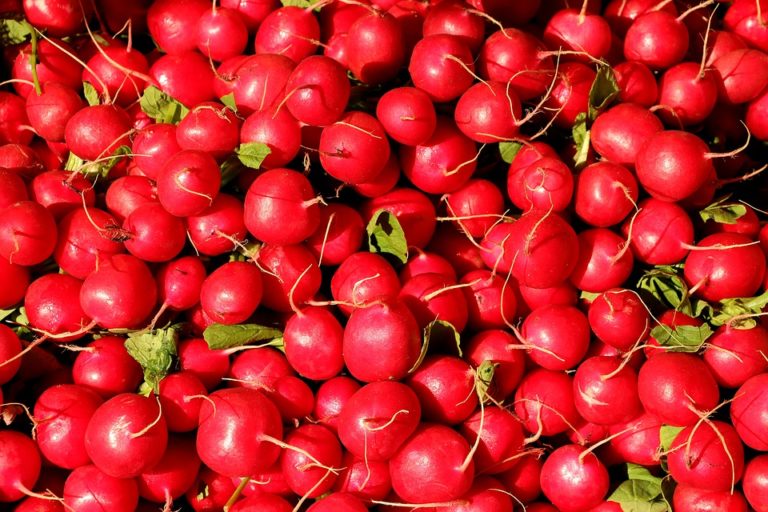 Nouakchott: Baisse des importations de légumes et hausse des prix