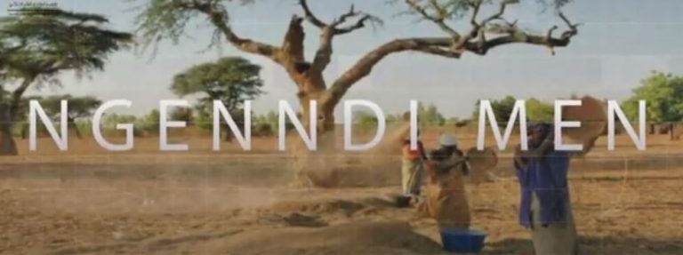 Émission NGENNDI MEN du10 août 2023 | TVM | Replay |